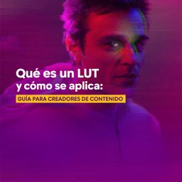 Qué es un LUT y cómo se aplica: guía para creadores de contenido